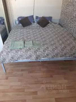 1-к кв. Нижегородская область, Городец ул. Мелиораторов, 3 (31.0 м)