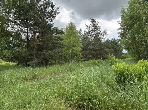 Участок в Московская область, Павлово-Посадский городской округ, д. ...