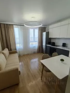 Студия Московская область, Домодедово городской округ, с. Ям ул. ...