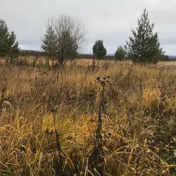 Участок в Татарстан, Верхнеуслонский район, Набережно-Морквашское ...