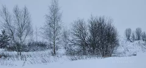 Участок в Московская область, Луховицы муниципальный округ, д. ...