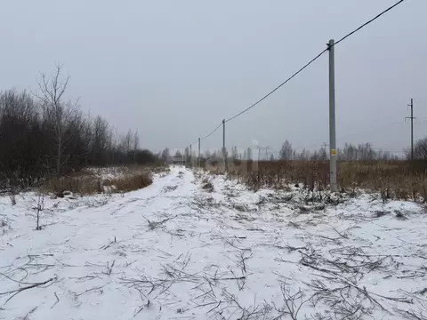 Участок в Тюменская область, Тюменский муниципальный округ, с. Борки  ...