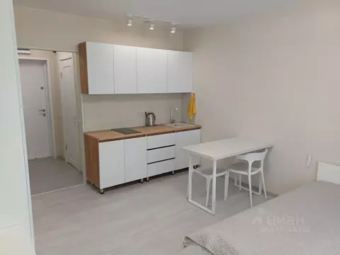 Студия Московская область, Одинцово ул. Березовая, 6к1 (22.4 м)