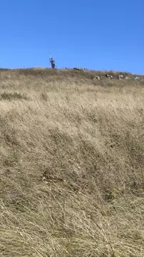 Участок в Ставропольский край, Ставрополь Зори Кавказа садовое ...