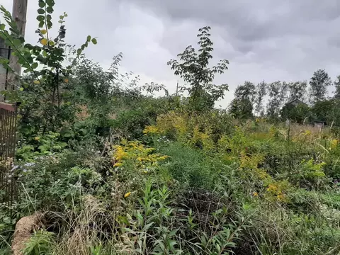 Участок в Тамбовская область, Тамбовский муниципальный округ, Ветеран ...