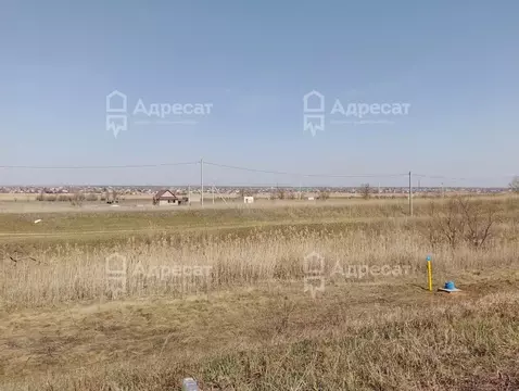 Участок в Волгоградская область, Волгоград ул. Ясногорская (8.18 сот.)