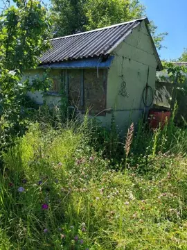 Участок в Московская область, Луховицы СНТ Южное тер., 418 (4.2 сот.)