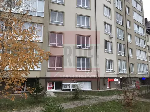 Помещение свободного назначения в Калининградская область, Гурьевский ...