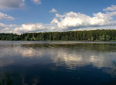 Участок, 6 сот., поселения (ижс)