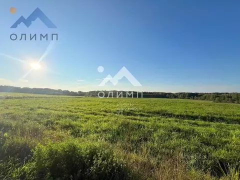 Участок в Вологодская область, Грязовецкий муниципальный округ, д. ...