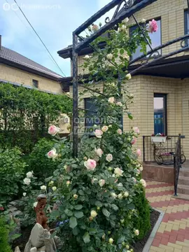 Дом в станица Анапская, Колхозная улица (141 м)