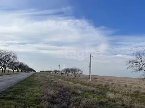 Участок в Крым, Сакский район, с. Молочное  (198.92 сот.)