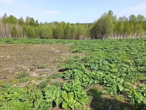 Участок в Коми, Сыктывдинский район, Лэзым муниципальное образование, ...