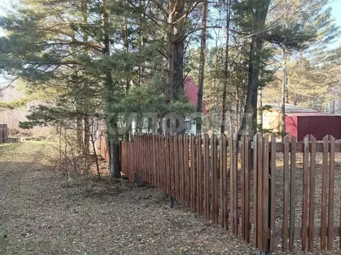 Дом в Колыванский район, Скалинский сельсовет, посёлок Охотхозяйство ...