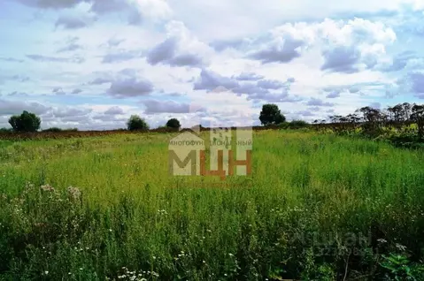 Участок в Тверская область, Конаковский муниципальный округ, д. Ручьи ...