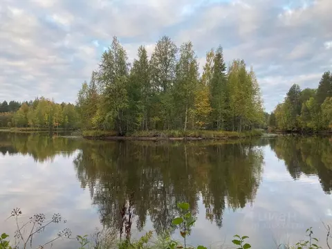 Дом в Московская область, Можайский муниципальный округ, с. Деревня ...