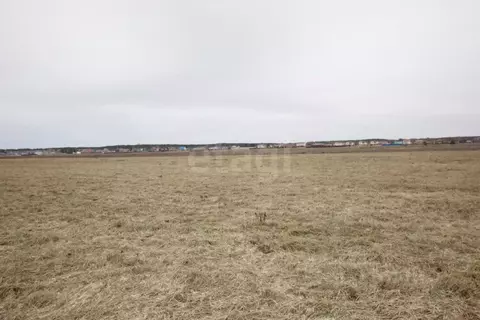 Участок в Калужская область, Дзержинский муниципальный округ, с. ...