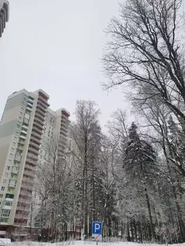 1-к кв. Московская область, Красногорск Изумрудные Холмы мкр,  (35.0 ...