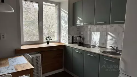 1-к кв. Новосибирская область, Новосибирск ул. Блюхера, 45 (31.0 м)