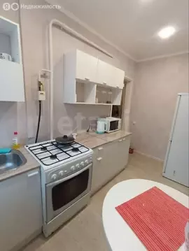 2-комнатная квартира: Омск, 11-я Ремесленная улица, 29 (47.2 м)