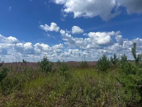 Участок в Тюменская область, Тюменский муниципальный округ, д. Елань ...
