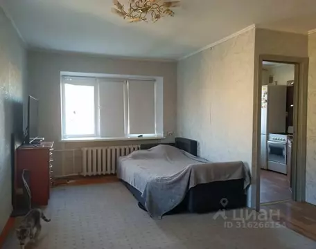 1-к кв. Омская область, Омск просп. Мира, 8 (31.4 м)