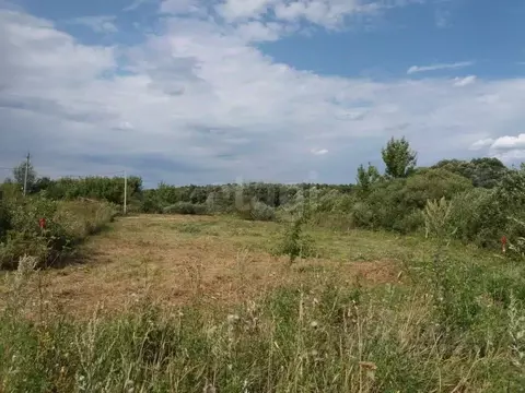 Участок в Воронежская область, Новоусманский район, с. Бабяково ...
