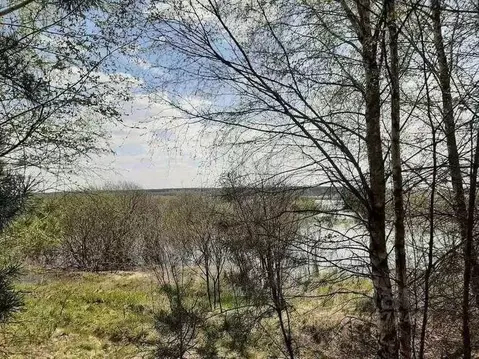 Участок в Рязанская область, Клепиковский район, Болоньское с/пос, д. ...