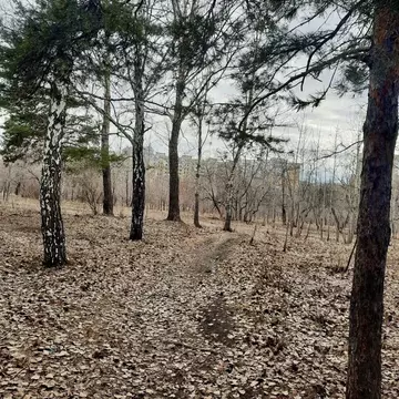 Студия Омская область, Омск Пригородная ул., 5 (14.0 м)