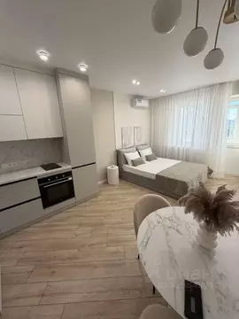 Студия Самарская область, Самара ул. Алексея Толстого, 92 (37.5 м)