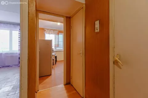 1-комнатная квартира: Санкт-Петербург, Наличная улица, 36к4 (31.1 м)