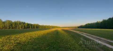 Участок в Владимирская область, Гороховецкий район, Денисовское ...