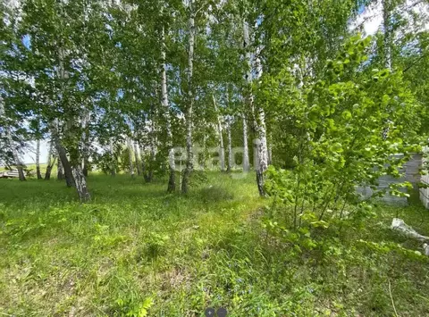 Участок в Амурская область, Благовещенский район, с. Усть-Ивановка ул. ...