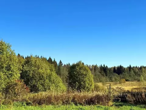Участок в Московская область, Дмитровский муниципальный округ, Ерыково ...