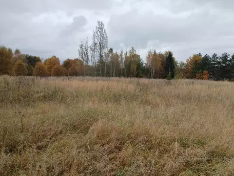 Участок в Московская область, Можайский муниципальный округ, д. ...