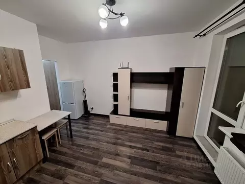 Студия Санкт-Петербург ул. Крыленко, 2 (23.0 м)