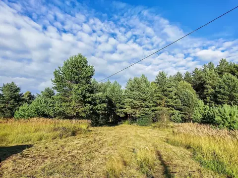 Участок в Ярославская область, Некрасовский муниципальный округ, ...