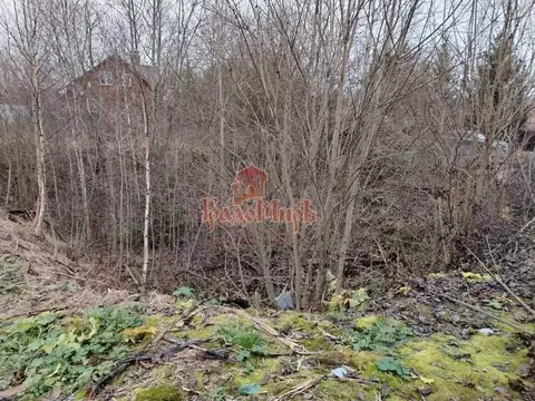 Участок в Московская область, Красноармейск Пушкинский городской ...