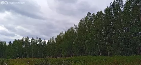 Участок в Свердловская область, Сысертский муниципальный округ, село ...