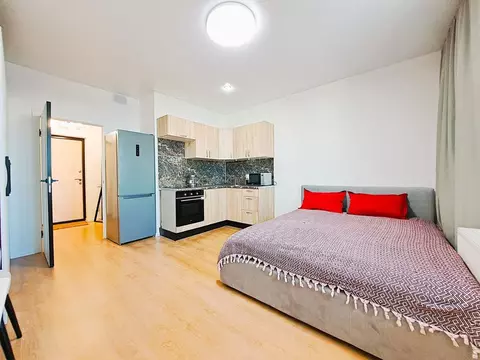 Студия Санкт-Петербург просп. Королева, 57к1 (30.0 м)