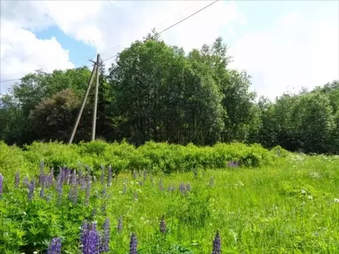 Участок в Ленинградская область, Лужский район, Мшинское с/пос, д. ...