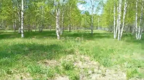 Участок в Ярославская область, Некрасовский муниципальный округ, ...