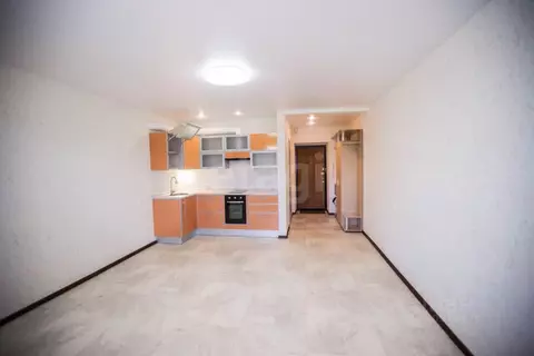 Студия Амурская область, Благовещенский район, с. Чигири ул. ...