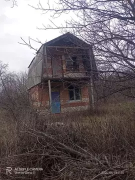 Дом в Белгородская область, Корочанский район, Шляховское с/пос, Салют ...