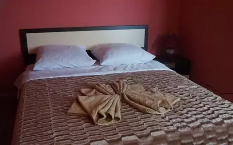 Комната Тамбовская область, Мичуринск Интернациональная ул., 8 (17.0 ...