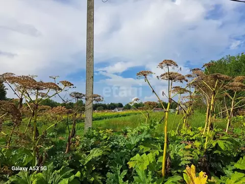 Участок в Ленинградская область, Киришский район, Глажевское с/пос, ...