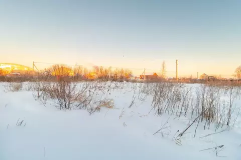 Участок в Тюменская область, Тюмень Царево садовое товарищество, 128 ...