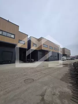 Помещение свободного назначения в Московская область, Раменский ...