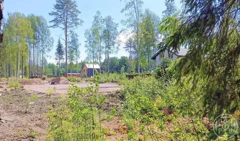 Участок в Ленинградская область, Выборгский район, Полянское с/пос, ...