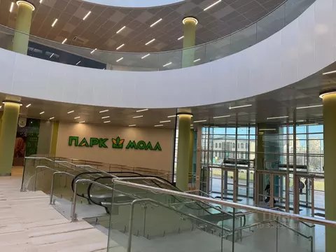 Помещение свободного назначения в Санкт-Петербург просп. Просвещения, ...